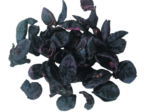 Kokum Rind